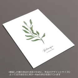 ☆インテリアアートポスター -botanique-【218】 6枚目の画像