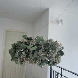 flying wreath ユーカリとかすみ草のフライングリース リース