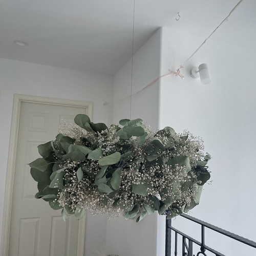 ユーカリ フライングリース