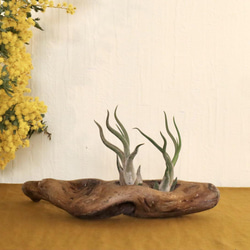 763cf00e590c31c084bafdb8bcc93a