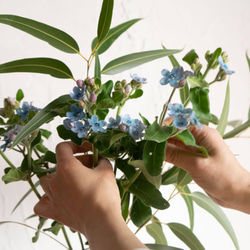 【花瓶&ユーカリとブルースター】ブルーグレーのおしゃれな花瓶、ブルースターとユーカリの花束 5枚目の画像