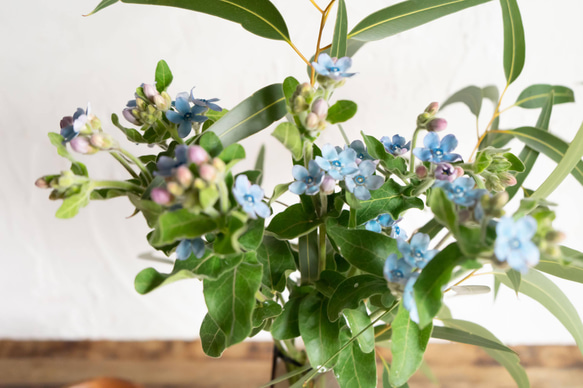 【花瓶&ユーカリとブルースター】ブルーグレーのおしゃれな花瓶、ブルースターとユーカリの花束 3枚目の画像