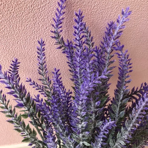 リララベンダードライフラワー 北海道産 無農薬 ラベンダー ドライフラワー 50本＋おまけ20本 - メルカリ