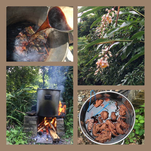 屋久島の草木染めシルクストール（月桃染めの薄紅色） 人気・おすすめ｜売れ筋商品・話題商品におすすめ 品質チェック済み 安心配送 本日出荷・最短翌日到着