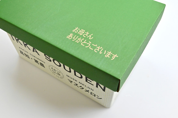 【母の日ギフト】マスクメロン「2玉入り」 3枚目の画像