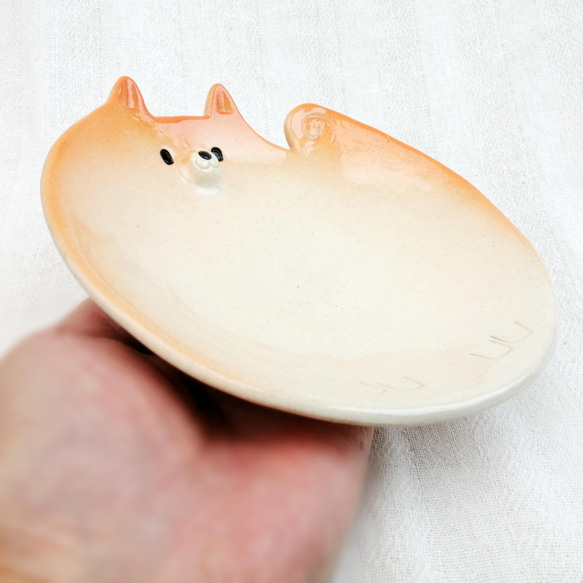 Shiba Inu Sideways Plate 17cm 陶狗 第3張的照片