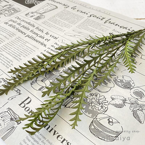 ドライフラワー ❇️グレビレアアイバンホー❣️ ドライフラワー］グレビレア アイバンホー商品ページ - 土と風の