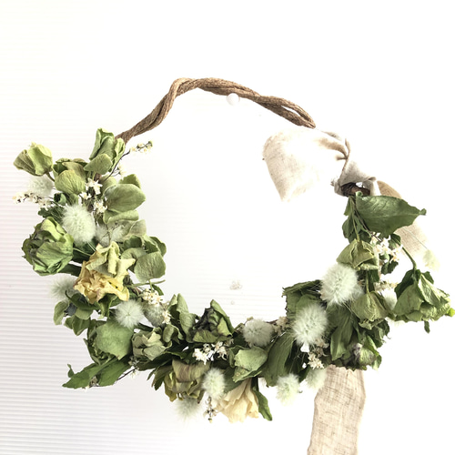 クリスマスローズのドライフラワーリース: Green 