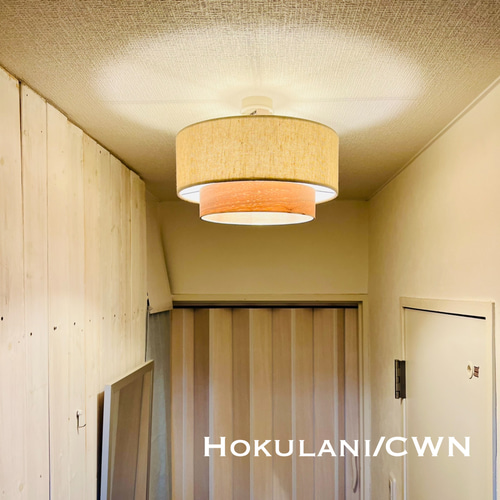 天井照明 Hokulani/CTM シーリングライト E26 SA インテリア 52ce2abdc33509b04309e28c3701da