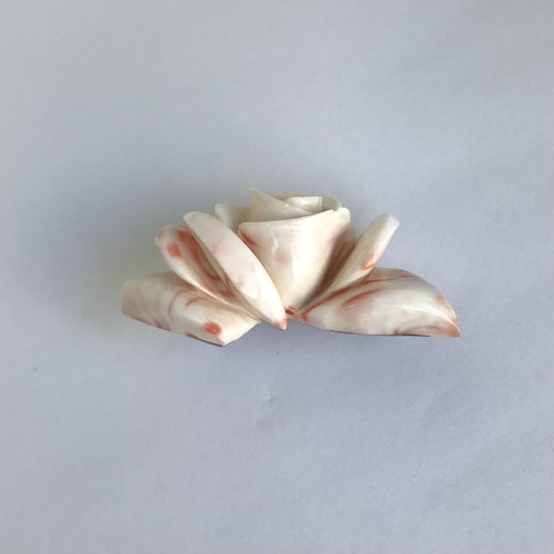 珊瑚彫刻の逸品・白薔薇のブローチ・立体的な彫り、ボリュウム