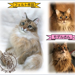 【オーダー受付 】羊毛フェルト ぬいぐるみ 犬 猫 リアル 犬オーダー 猫オーダー トイプードル ダックス チワワ 6枚目の画像