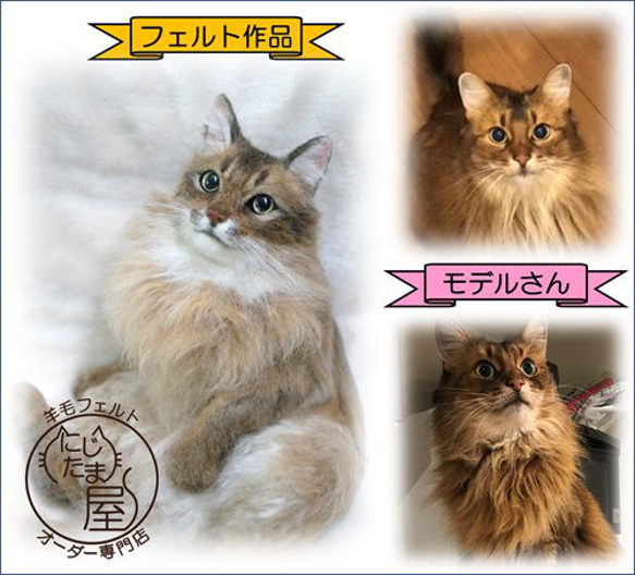 【オーダー受付 】羊毛フェルト ぬいぐるみ 犬 猫 リアル 犬オーダー 猫オーダー トイプードル ダックス チワワ 6枚目の画像