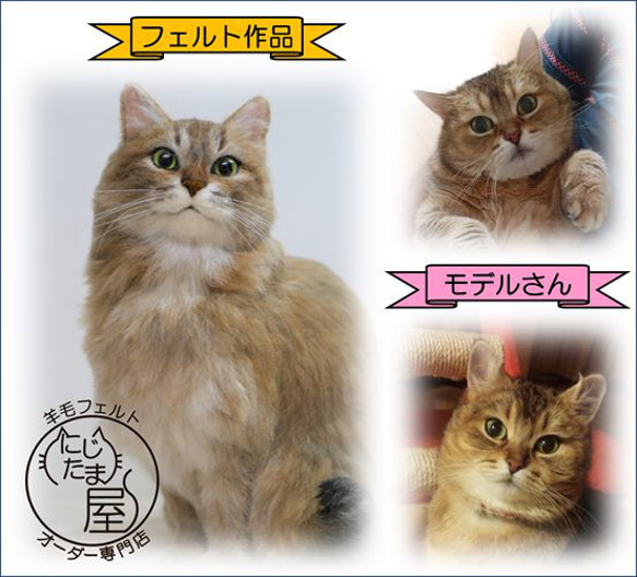 【オーダー受付 】羊毛フェルト ぬいぐるみ 犬 猫 リアル 犬オーダー 猫オーダー トイプードル ダックス チワワ 18枚目の画像