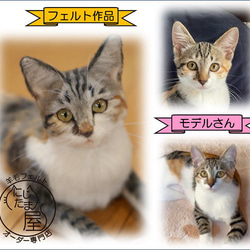 【オーダー受付 】羊毛フェルト ぬいぐるみ 犬 猫 リアル 犬オーダー 猫オーダー トイプードル ダックス チワワ 16枚目の画像