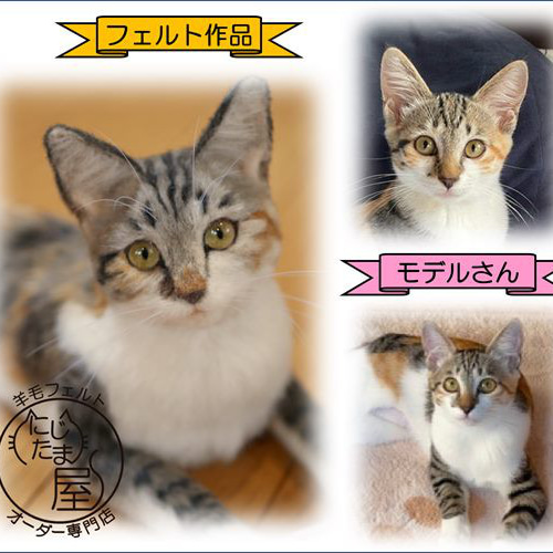 オーダー受付 】羊毛フェルト ぬいぐるみ 犬 猫 リアル 犬オーダー 猫