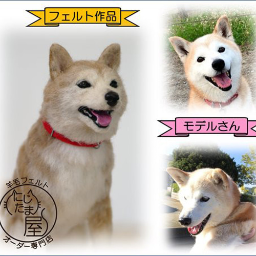 オーダー受付 】羊毛フェルト ぬいぐるみ 犬 猫 リアル 犬オーダー 猫