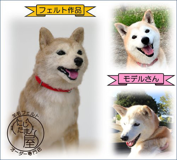 【オーダー受付 】羊毛フェルト ぬいぐるみ 犬 猫 リアル 犬オーダー 猫オーダー トイプードル ダックス チワワ 2枚目の画像