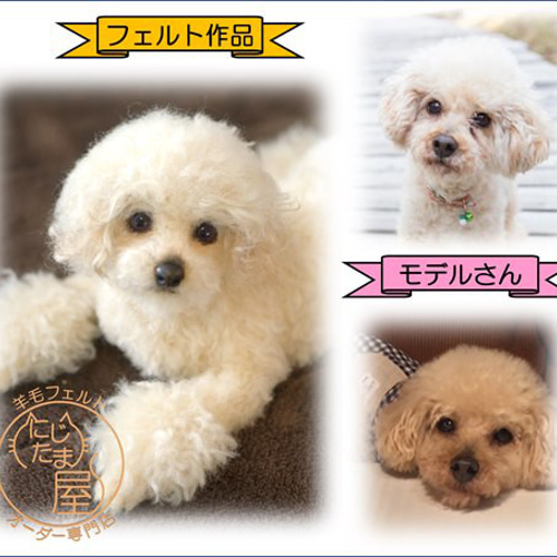 羊毛フェルト　かんすけ様　ミニチュアプードル　犬　ハンドメイド　オーダー 羊毛フェルトかんすけ様ミニチュアプードル犬ハンドメイドオーダー