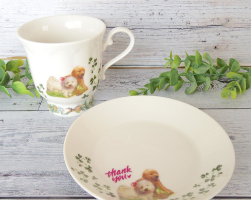 54ac49b240ba11c349de086a789531