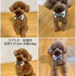 ナチュラル＆クラシカルなペチコートワンピース　つけ襟付き　犬服　ハンドメイド 犬服 ペット用 蝶ネクタイ つけ衿 男の子用（超小型〜大型犬まで5