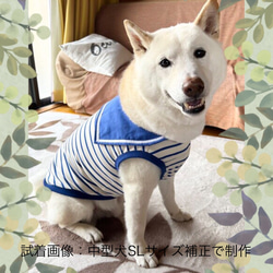 【返品送料無料】 4ac03e0b552a47b39f214b1b9b160c 犬服・アクセサリー