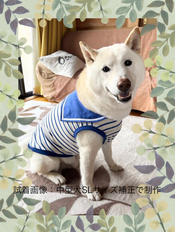 オーダー 犬服 タンクトップ 楽天市場】犬服 名入れ タンクトップ めがね犬 S M L XL 2L 3L