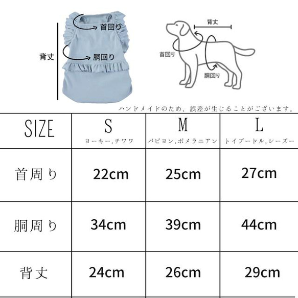  第6張的照片