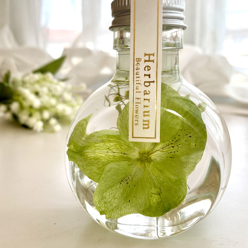 母の日ギフトに☆稀少価値☆クリスマスローズのハーバリウム♪ ハー  