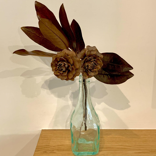 姫泰山木のグリセリンドライリーフ ドライフラワー素材 〜ひとまわり