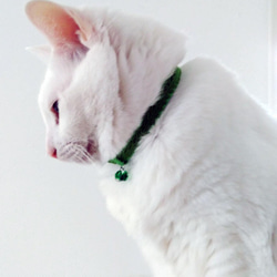 猫の首輪　トリミングブレード　くるくる模様　萌黄色 6枚目の画像