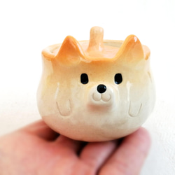Shiba Inu Sugar Pot 80ml 原型陶器動物 第7張的照片