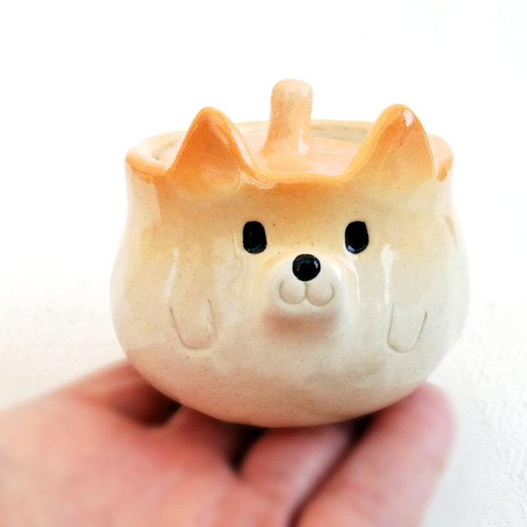 Shiba Inu Sugar Pot 80ml 原型陶器動物 第7張的照片