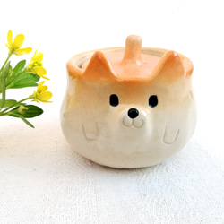 Shiba Inu Sugar Pot 80ml 原型陶器動物 第1張的照片