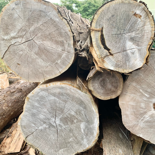 直径90cm/オーク無垢/丸テーブル/ラウンドテーブル/ダイニングテーブル