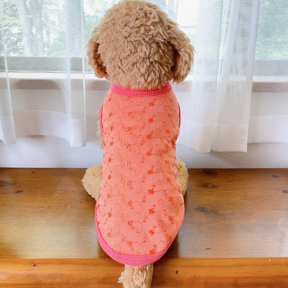 犬服　花柄刺繍Tシャツ　コーラルオレンジ 6枚目の画像