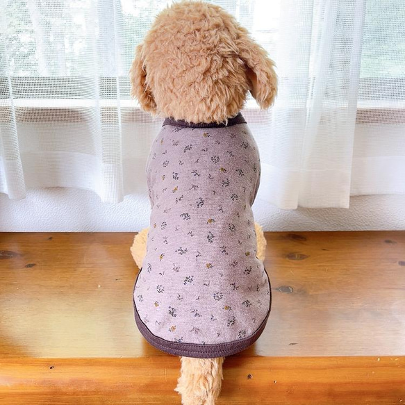 犬服　小花柄Tシャツ　ブラウン 6枚目の画像