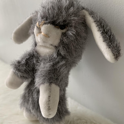 灰色ラビット　ウサギ 3枚目の画像