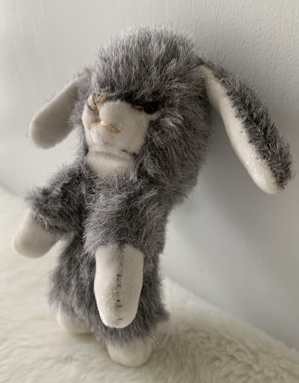 灰色ラビット　ウサギ 3枚目の画像