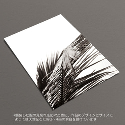 ☆インテリアフォトポスター -PALM LEAF-【232】 6枚目の画像