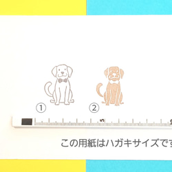 犬のおすわりはんこ *(^(工)^)* 9枚目の画像