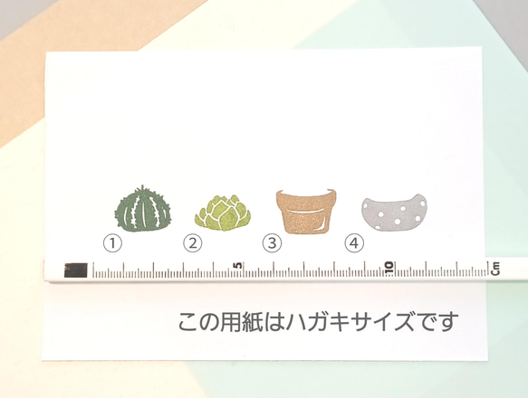 植物はんこ [ Type : C ] 8枚目の画像