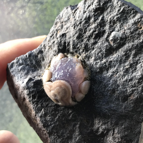 ゴビ石−870 ゴビ瑪瑙　原石　スミレ眼石　鉱物標本　激レア ゴビ石−870 ゴビ瑪瑙原石スミレ眼石鉱物標本激レア