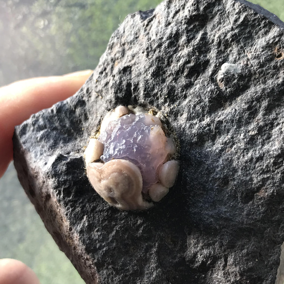 ゴビ石−870 ゴビ瑪瑙　原石　スミレ眼石　鉱物標本　激レア ゴビ石−870 ゴビ瑪瑙 原石 スミレ眼石 鉱物標本 激レア