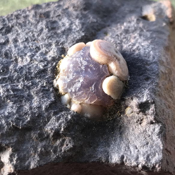 ゴビ石−870 ゴビ瑪瑙 原石 スミレ眼石 鉱物標本 激レア