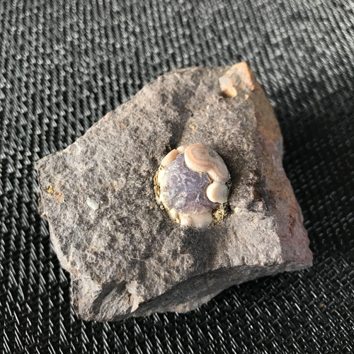 ゴビ石−870 ゴビ瑪瑙原石スミレ眼石鉱物標本激レア