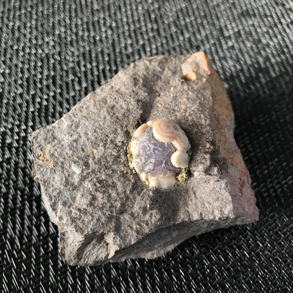 ゴビ石−870 ゴビ瑪瑙 原石 スミレ眼石 鉱物標本 激レア