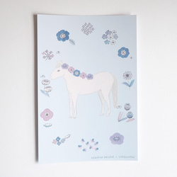ポストカード『花飾りと馬（白馬）』 1枚目の画像