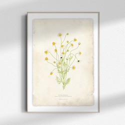 ca3dea3330517838f06b49f63070b6