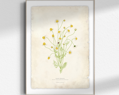 ca3dea3330517838f06b49f63070b6