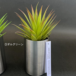 ☆Sale☆多肉植物・フェイク・ステンレスの器 4枚目の画像